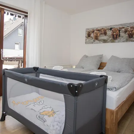 Deluxe For 5 - 2 Bedrooms - Free Private Parking - 5 Min To Slopes - Terrace * Winterberg