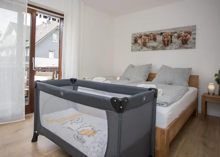 Deluxe For 5 - 2 Bedrooms - Free Private Parking - 5 Min To Slopes - Terrace * Winterberg